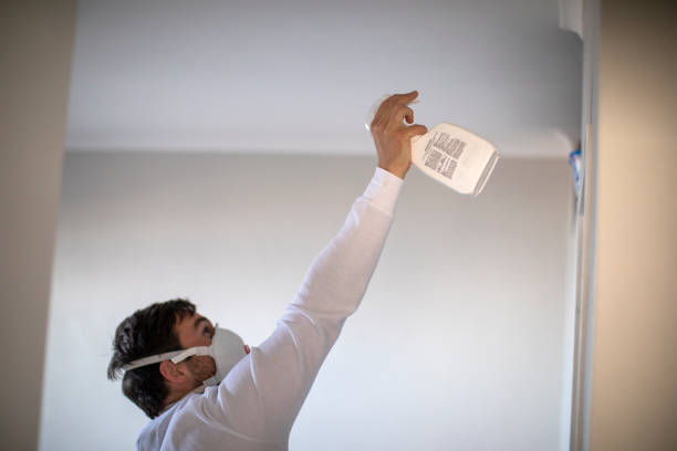 Best Toxic Mold Removal  in Mount Olive, MS