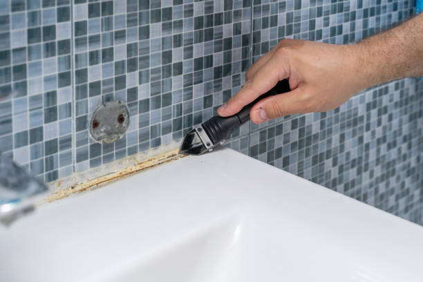 Best Certified Mold Removal  in Mount Olive, MS