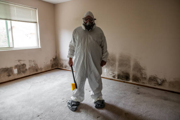 Best Residential Mold Removal  in Mount Olive, MS
