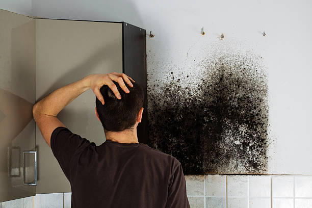 Water Damage Restoration in Mount Olive, MS